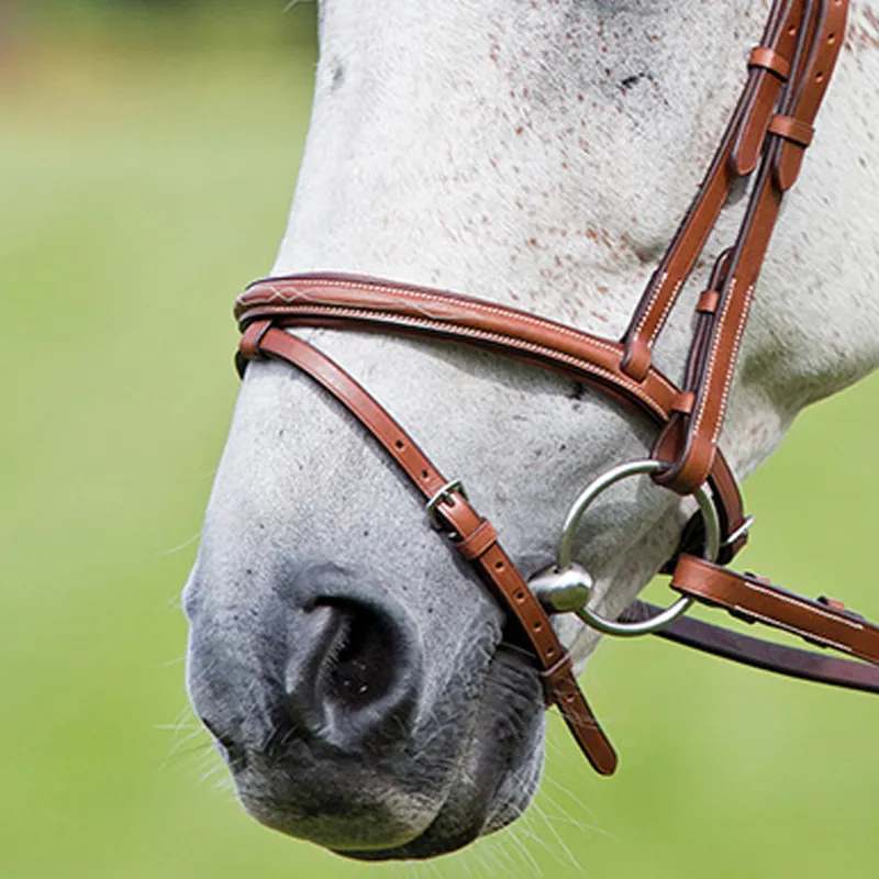 Shires Avignon Padded Raised Flash Noseband - Oak